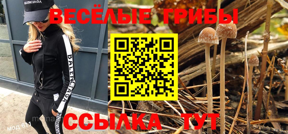 Избербаш  Галлюциногенные грибы MAGIC MUSHROOMS  Вход с VPN 